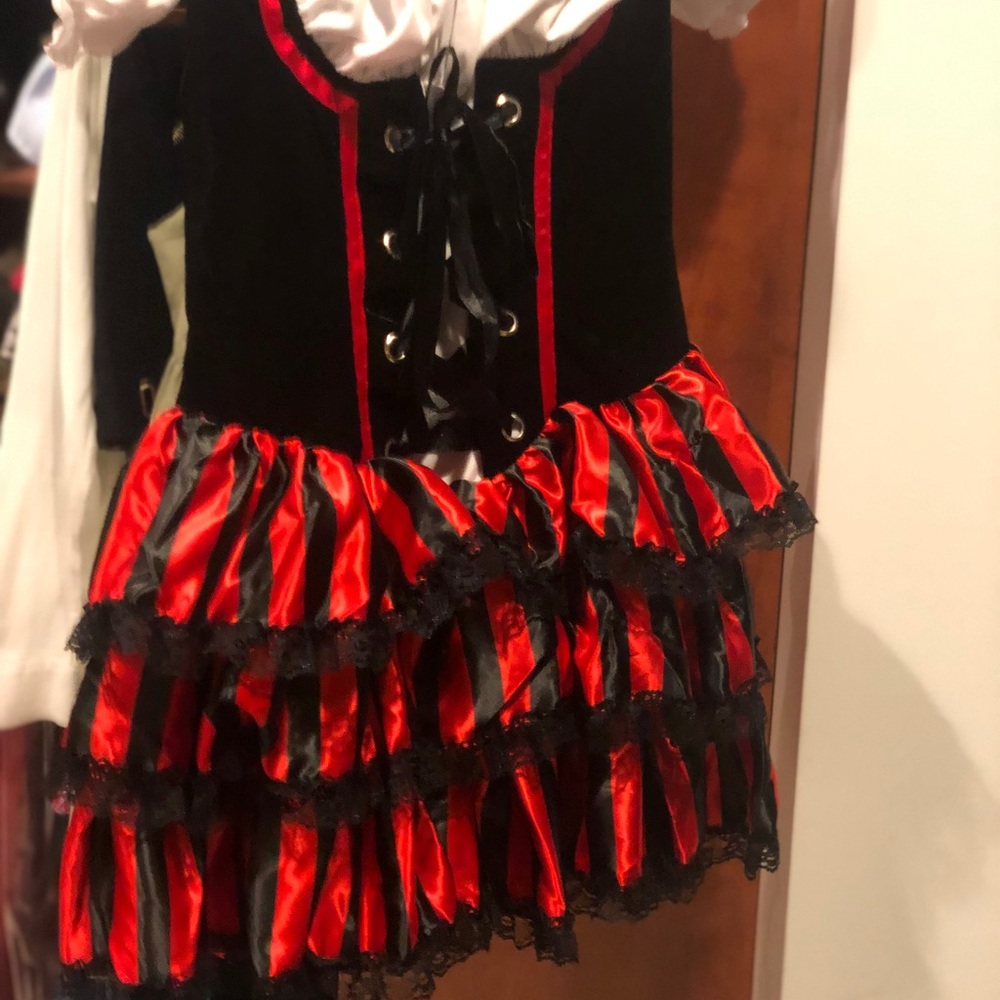 Sexy Pirate Costume - Picture 4 of 5